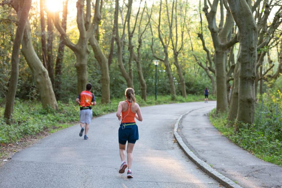 traunsee halbmarathon 2021